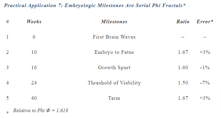 Embryologic Milestones Are Serial Phi Fractals